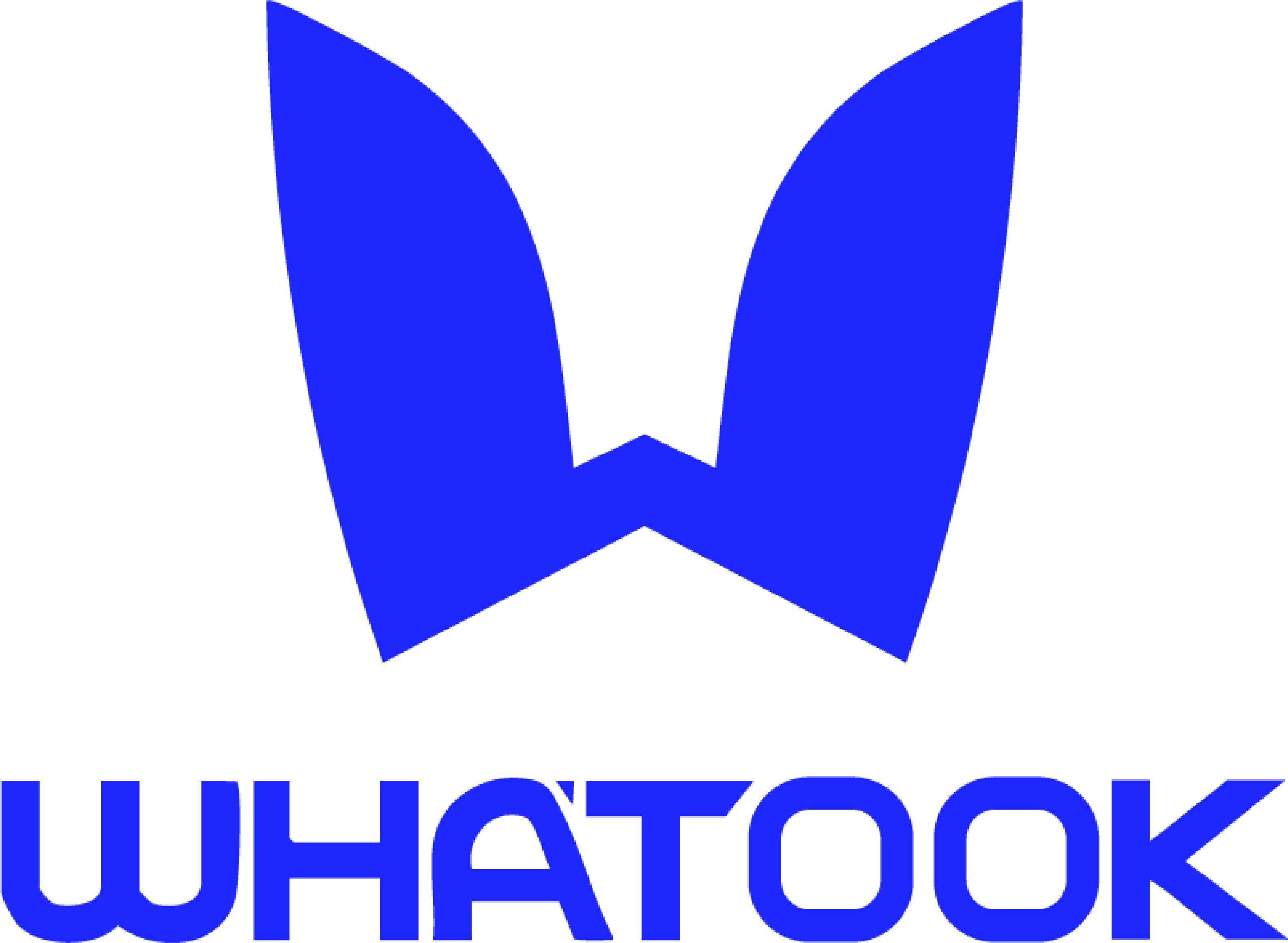 WHATOOK